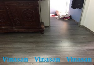 san-go-vinasan, vinasan v104