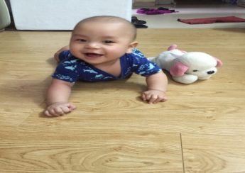 sàn gỗ tại hà nội giá rẻ, san go malaysia, van san malaysia