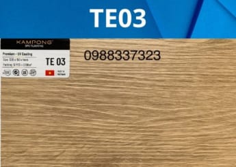 sàn nhựa te03