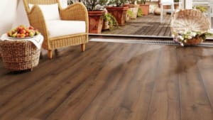 màu sắc đẹp và sang trọng