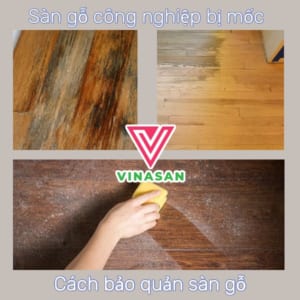 sàn gỗ bị ẩm mốc - cách bảo quản